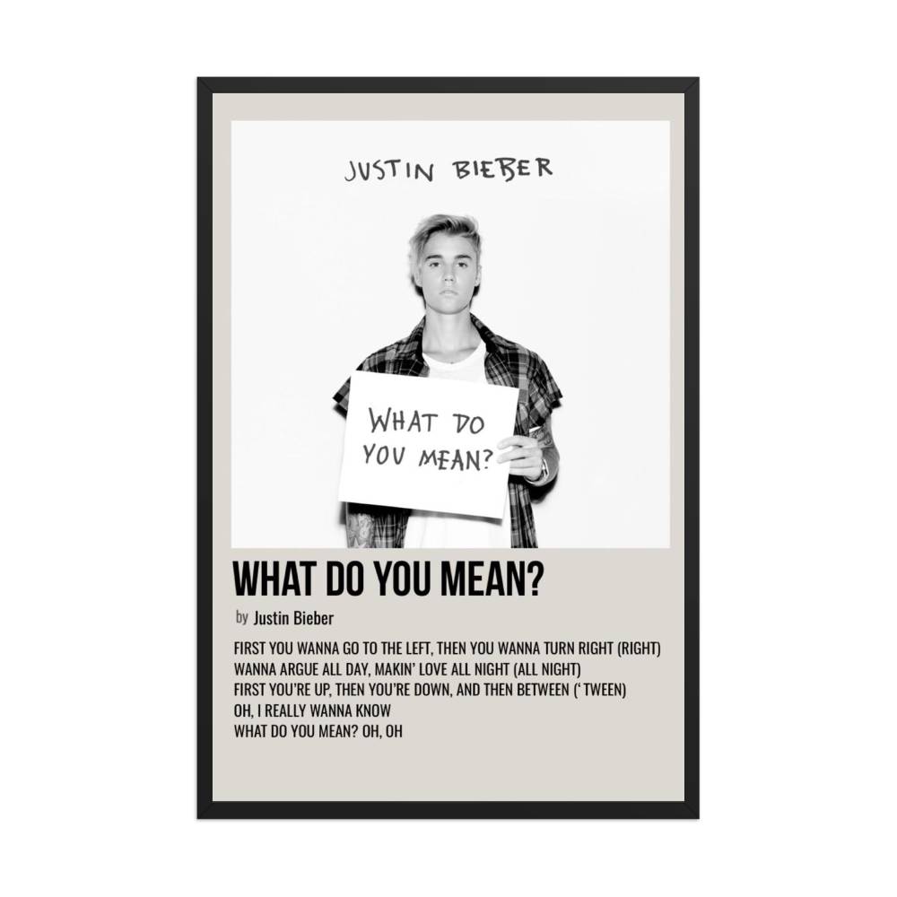 Justin Bieber What Do You Mean