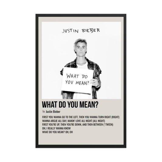 Justin Bieber What Do You Mean