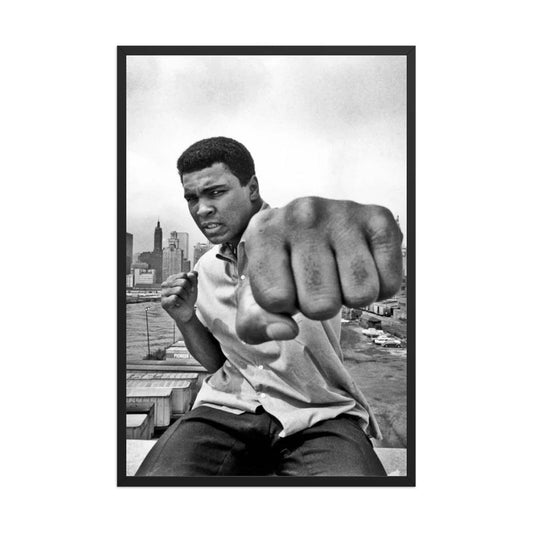 Ali Punch